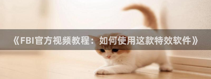 桃色樱花视频：《FBI官方视频教程：如何使用这款特效软件》