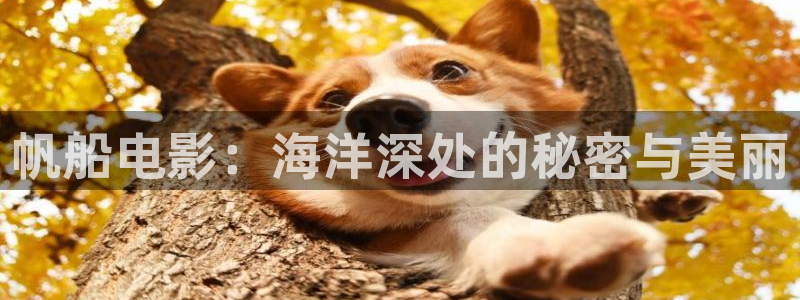 樱花影院官网：帆船电影：海洋深处的秘密与美丽
