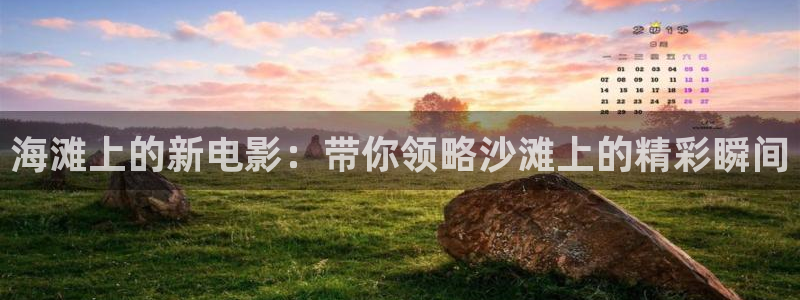 樱花视频免费看.：海滩上的新电影：带你领略沙滩上的精彩瞬间