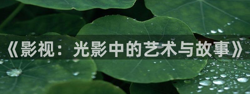 高清樱花视频素材：《影视：光影中的艺术与故事》