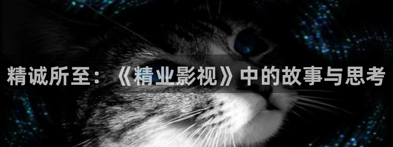 樱花视频在线观看电视剧全集免费：精诚所至：《精业影视》中的故事与思考