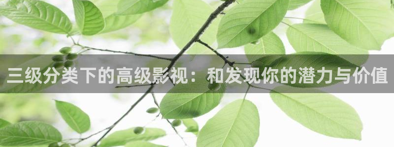 樱花视频高清观看：三级分类下的高级影视：和发现你的潜力与价值