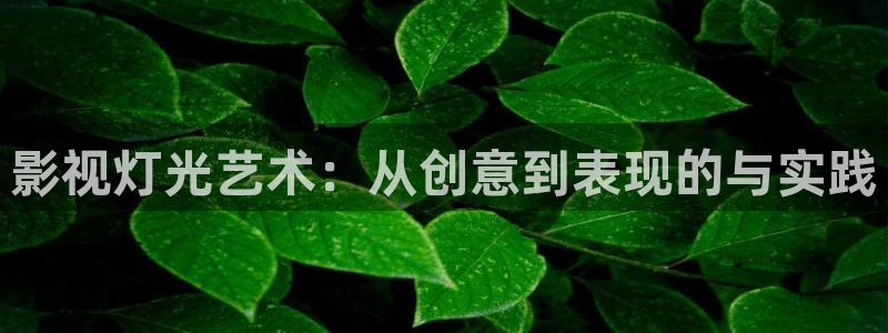 樱花视频看动漫：影视灯光艺术：从创意到表现的与实践