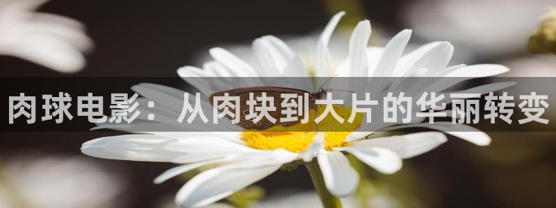 日在校园樱花视频：肉球电影：从肉块到大片的华丽转变