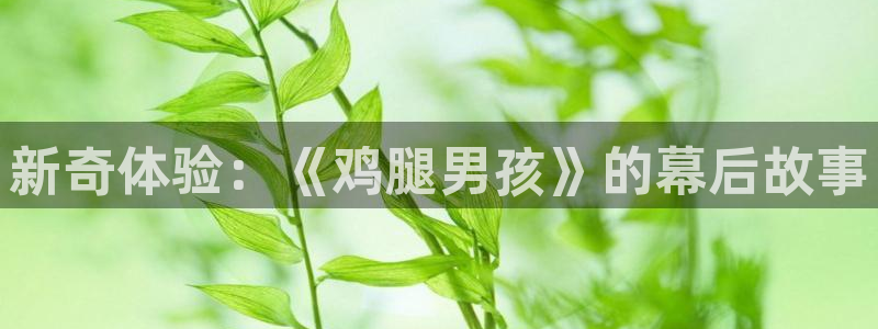 樱花视频在线免费观看视频：新奇体验：《鸡腿男孩》的幕后故事