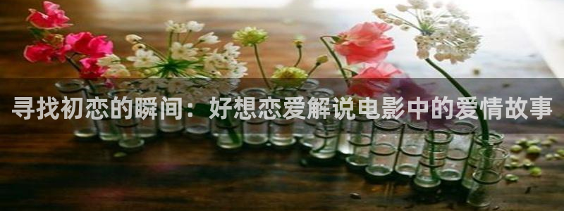 樱花视频老版本：寻找初恋的瞬间：好想恋爱解说电影中的爱情故事