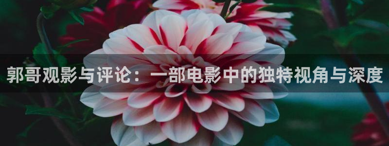 樱花视频高清在线观看完整版：郭哥观影与评论：一部电影中的独特视角与深度