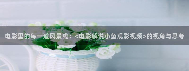 樱花视频免费看：电影里的每一道风景线：<电影解说小鱼观影视频>的视角与思考