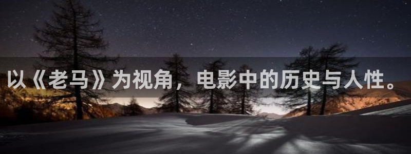 .樱花视频.：以《老马》为视角，电影中的历史与人性。