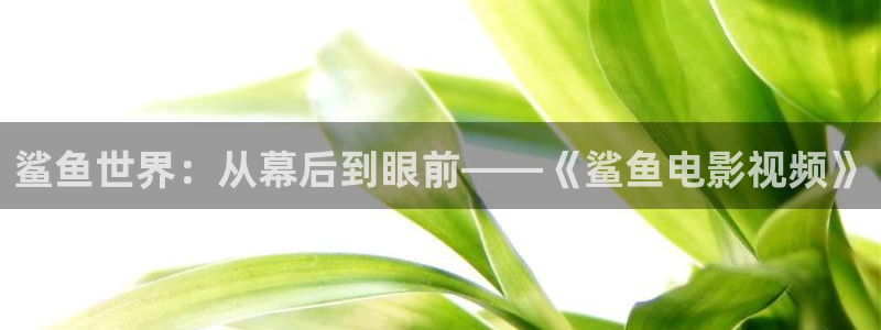 樱花视频沧元图：鲨鱼世界：从幕后到眼前——《鲨鱼电影视频》