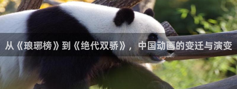 樱花视频网站在线观看
