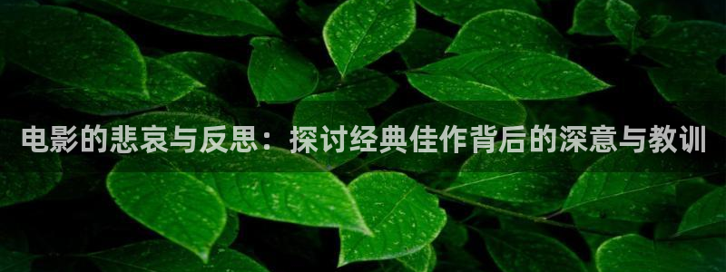 樱花视频高清免费版