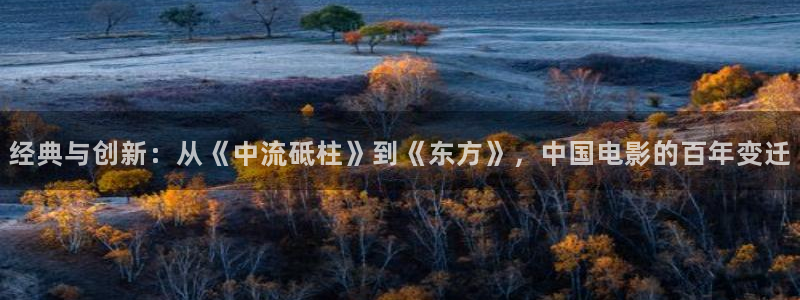 樱花视频18