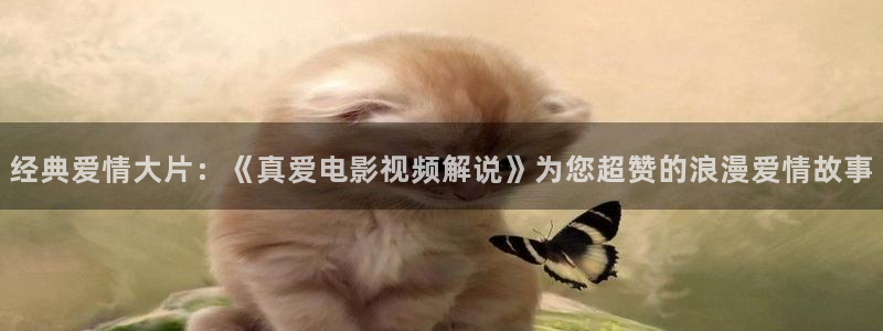 黑白禁区樱花视频