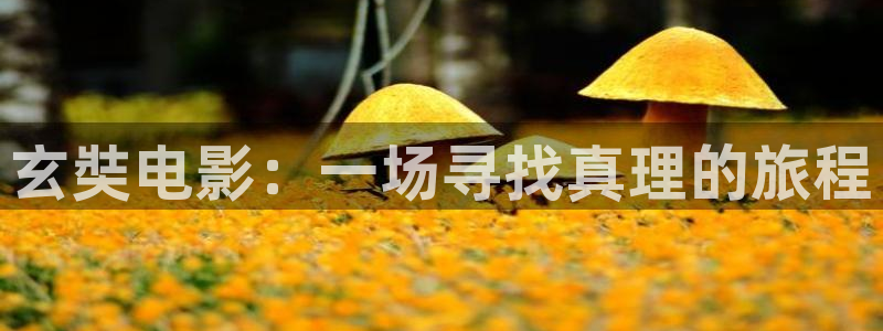 国产樱花视频