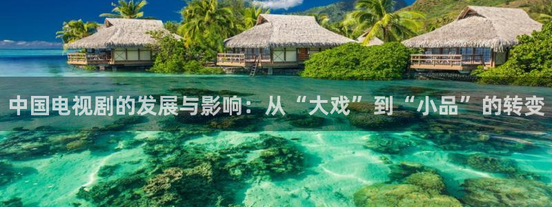 樱花视频全集