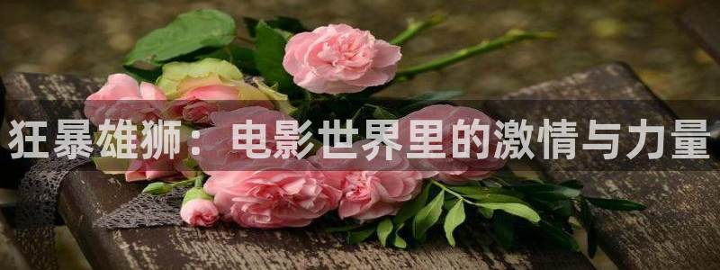 樱花影院电视剧高清在线观看
