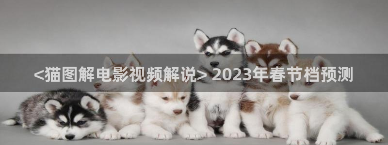 樱花视频污污