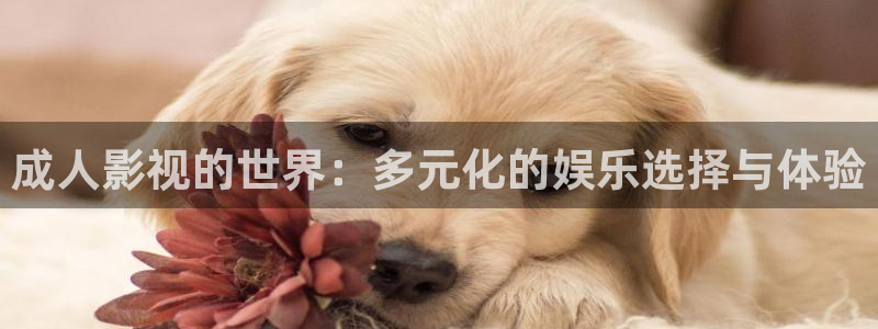 樱花视频2s：成人影视的世界：多元化的娱乐选择与体验