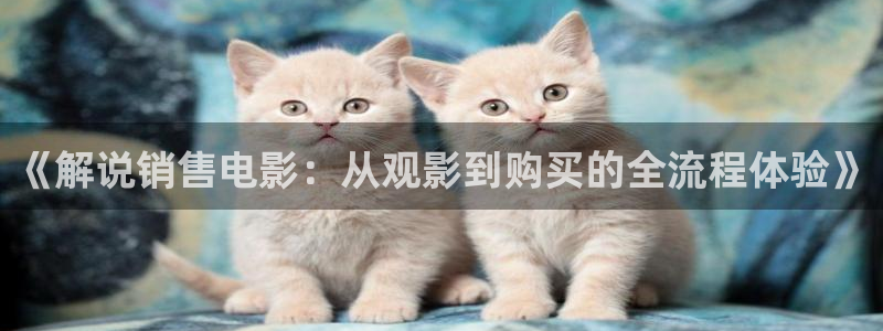 樱花视频9.1：《解说销售电影：从观影到购买的全流程体验》