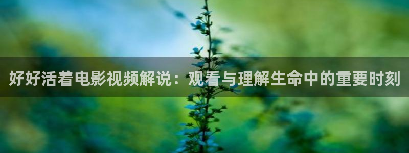 .樱花视频.：好好活着电影视频解说：观看与理解生命中的重要时刻