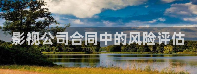 樱花视频软：影视公司合同中的风险评估