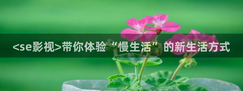 樱花影院高清视频：<se影视>带你体验“慢生活”的新生活方式
