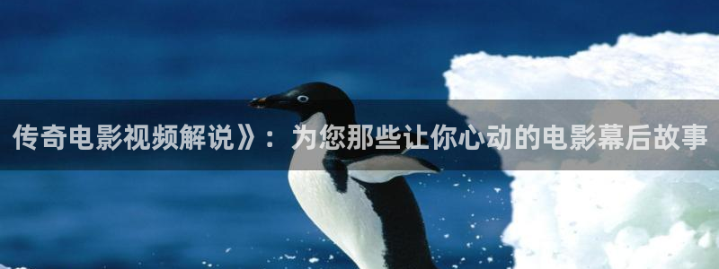 樱花视频素材：传奇电影视频解说》：为您那些让你心动的电影幕后故事
