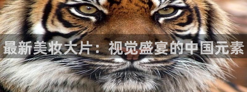 樱花视频观看高清：最新美妆大片：视觉盛宴的中国元素