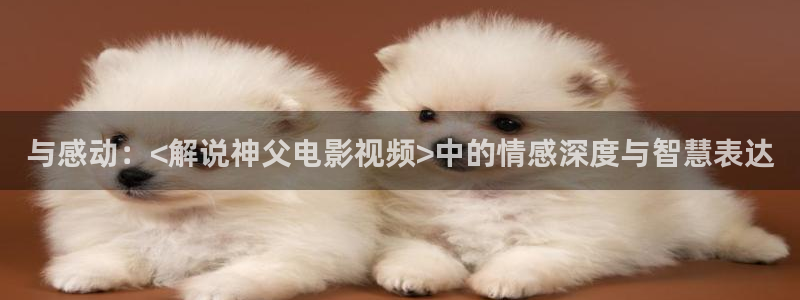 樱花视频高清在线观看免费：与感动：<解说神父电影视频>中的情感深度与智慧表达