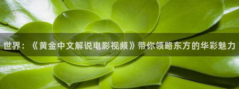 你微笑时很美樱花影视：世界：《黄金中文解说电影视频》带你领略东方的华彩魅力