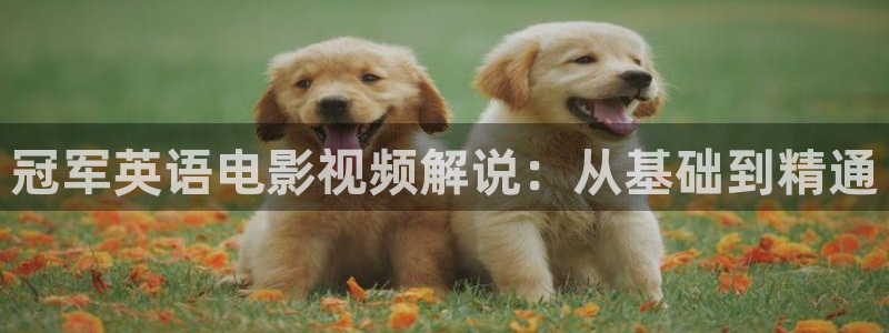 樱花视频在线播放：冠军英语电影视频解说：从基础到精通