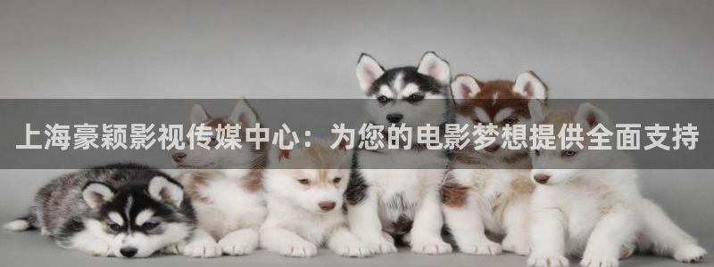 樱花影院在线观看完整版：上海豪颖影视传媒中心：为您的电影梦想提供全面支持