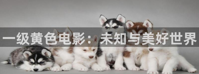 樱花影院在线观看高清电视剧免费：一级黄色电影：未知与美好世界