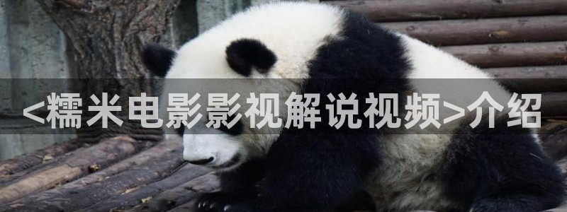 樱花影院高清视频：<糯米电影影视解说视频>介绍