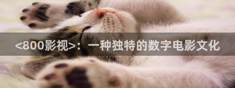 樱花视频泛黄：<800影视>：一种独特的数字电影文化