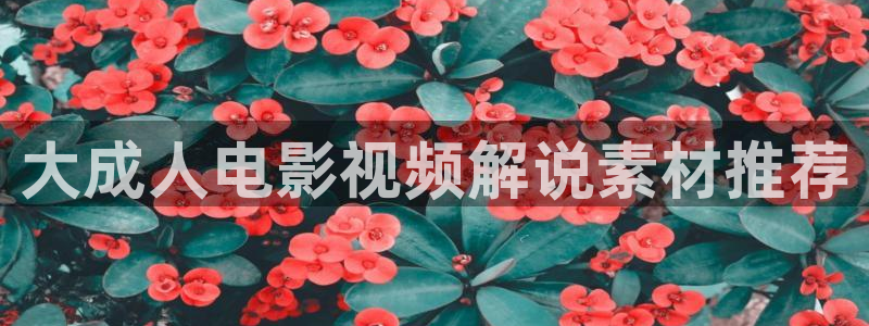 樱花影视在线免费观看ppt：大成人电影视频解说素材推荐