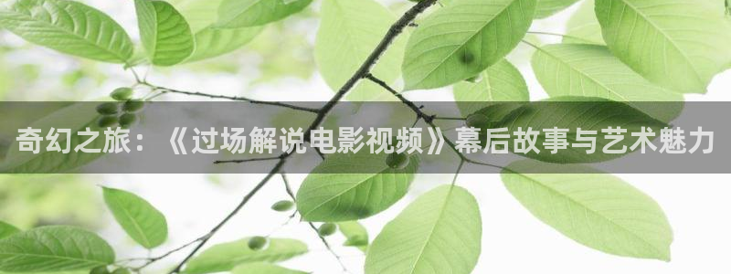 樱花视频中出：奇幻之旅：《过场解说电影视频》幕后故事与艺术魅力