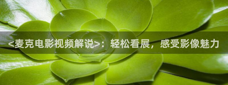 4138yy旧里番樱花影院：<麦克电影视频解说>：轻松看展，感受影像魅力