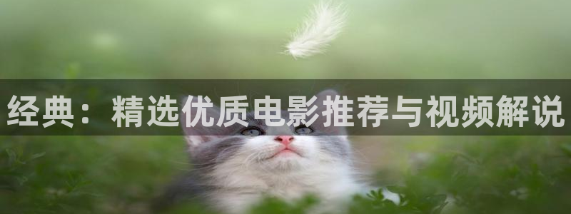 樱花视频泛黄：经典：精选优质电影推荐与视频解说