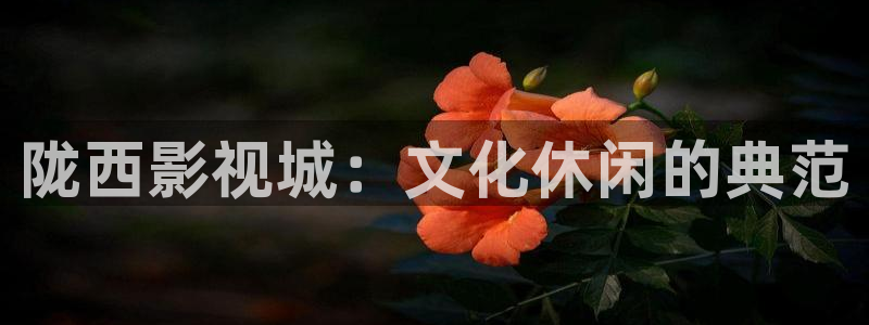 樱花影院电视剧：陇西影视城：文化休闲的典范