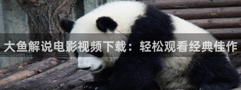 武汉樱花视频：大鱼解说电影视频下载：轻松观看经典佳作