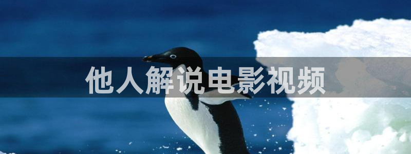 樱花影视在线看：他人解说电影视频