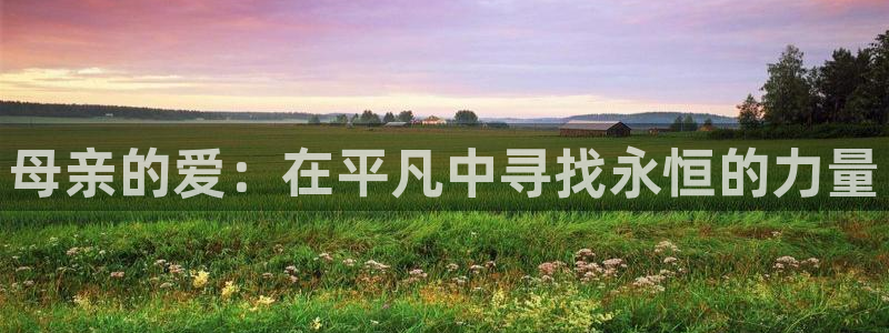 樱花影院官网：母亲的爱：在平凡中寻找永恒的力量