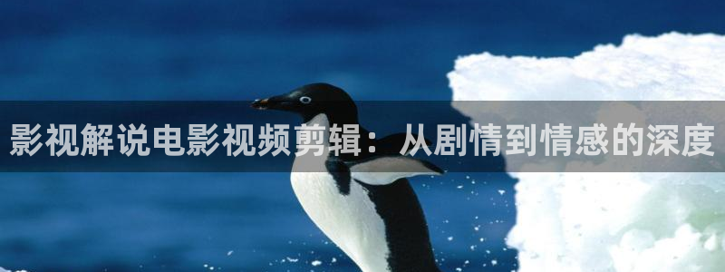 樱花视频软件：影视解说电影视频剪辑：从剧情到情感的深度