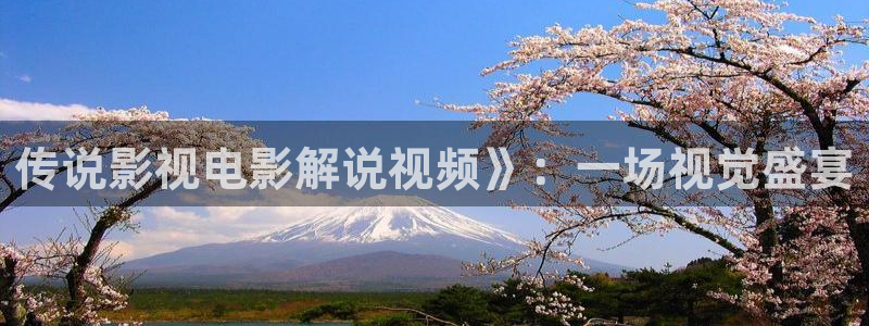 樱花影院观看：传说影视电影解说视频》：一场视觉盛宴